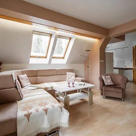 Apartamenty Dagmara i Irka Zakopane-3